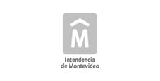 Cliente 7